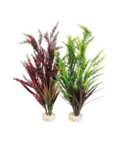 AQUA SPLENDID GRASS PLANTE AQUARIUM
