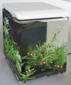 AQUARIUM HOME 8 BLANC