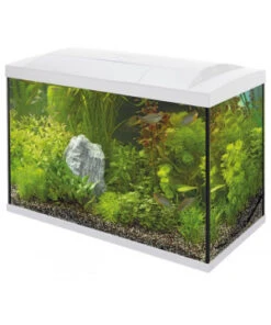 AQUARIUM START 100 TROPICAL BLANC