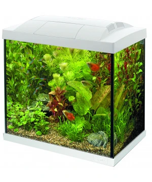 AQUARIUM START 30 TROPICAL BLANC 1 AQUARIUM START 30 TROPICAL BLANC