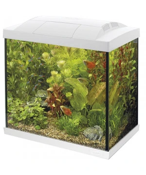 AQUARIUM START 50 TROPICAL BLANC 1 AQUARIUM START 50 TROPICAL BLANC