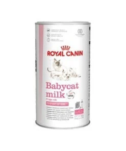 Babycat Lait Chat 300G Royal Canin