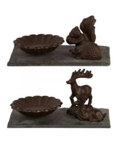 Bain Oiseau S Ardoise Animaux Foret