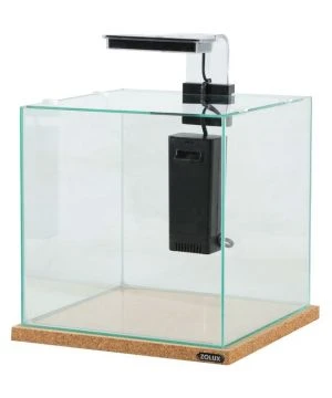 Betta Kub Noir 1 Betta Kub Noir