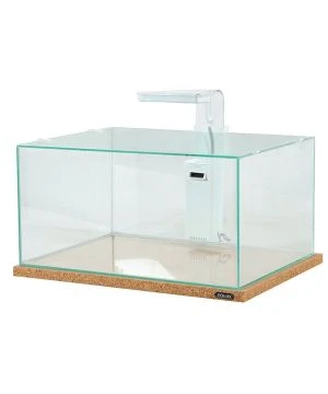 Betta Rek Blanc 1 Betta Rek Blanc