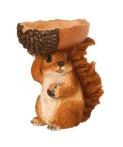 Bol D'alimentation écureuil