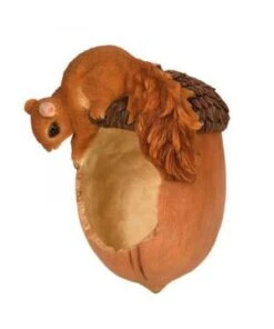 Bol D'alimentation Forme Gland