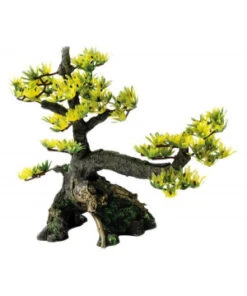DECO BONSAI M