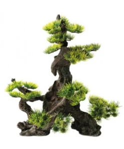 DECO BONSAI XXL