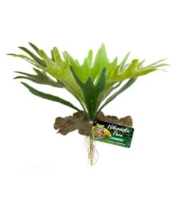 /DECOR STAGHORN FERN BU-65E
