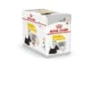 Dermacomfort Mousse 12X85G Royal Canin