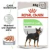 Digestive Care Mousse 12X85G Royal Canin