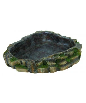 Ecuelle Pour Reptile. 24X5.5X20Cm 1 Ecuelle Pour Reptile. 24X5.5X20Cm