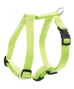 HARNAIS NYLON REG 40MM ANIS