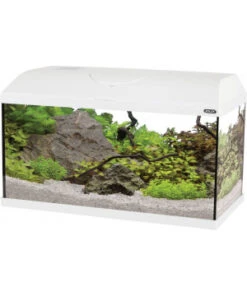 Kit Aqua First 60 Blanc Zolux