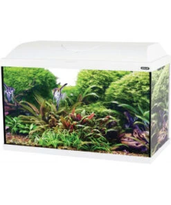 Kit Aqua Iseo 60 Led Blanc Zolux