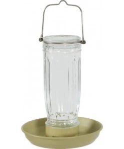 Mangeoire Verre Lichen