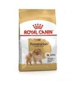 Pomeranian 1,5Kg Loulou Pomeranie Royal Canin