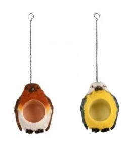 Porte Beurre Cacahuètes Oiseau .