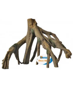 RACINE MANGROVE ROOT S