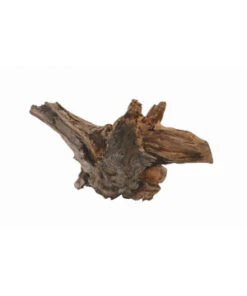 RACINE POUR AQUARIUM EN BOIS 3XL
