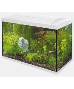 START 150 TROPICAL KIT BLANC